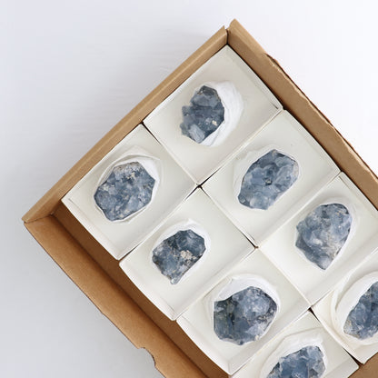 Celestite Clusters Set of 8