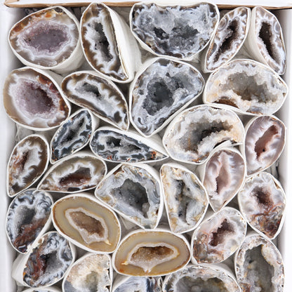 Agate Geodes Flat