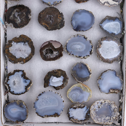 Agate Geodes Flat of 25 - Expert Wholesale and Supplier of Wholesale Crystals & Bulk Gemstones, ["Agate","flat","Flats","Geodes"]