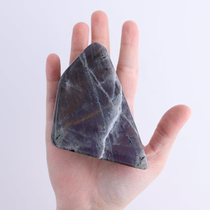 Labradorite Freeform Set of 4