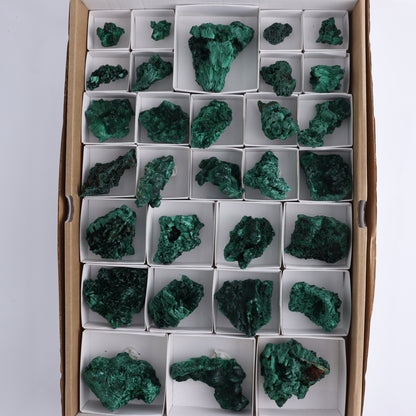 Malachite Flat of 30 - Expert Wholesale and Supplier of Wholesale Crystals & Bulk Gemstones, ["Congo","Flats","Malachite"]