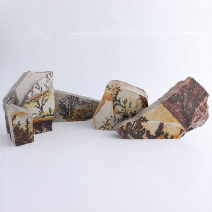 Dendrites Flat Set of 5 - Expert Wholesale and Supplier of Wholesale Crystals & Bulk Gemstones, ["Dendrite","Flats"]