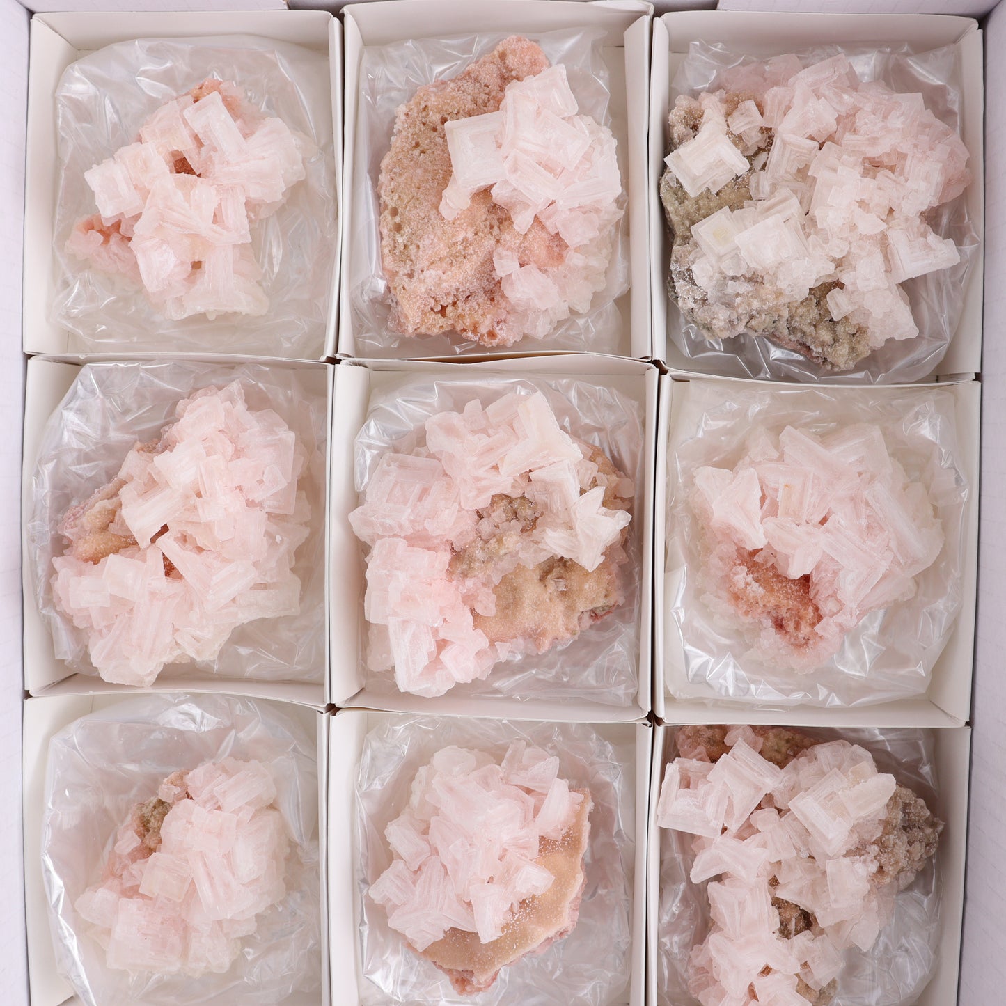 Searles Lake Halite Flat of 12 - Expert Wholesale and Supplier of Wholesale Crystals & Bulk Gemstones, ["close_30","Halite","Pink Halite","United States"]