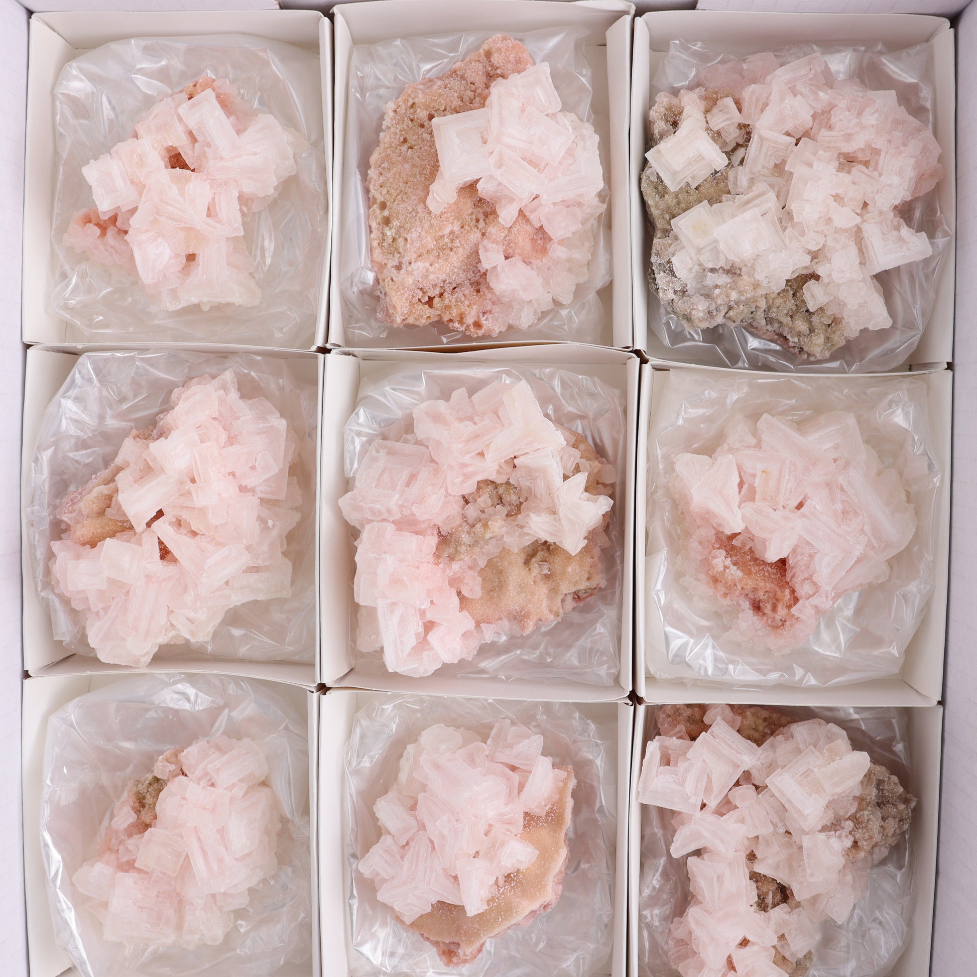 Searles Lake Halite Flat of 12 - Expert Wholesale and Supplier of Wholesale Crystals & Bulk Gemstones, ["close_30","Halite","Pink Halite","United States"]