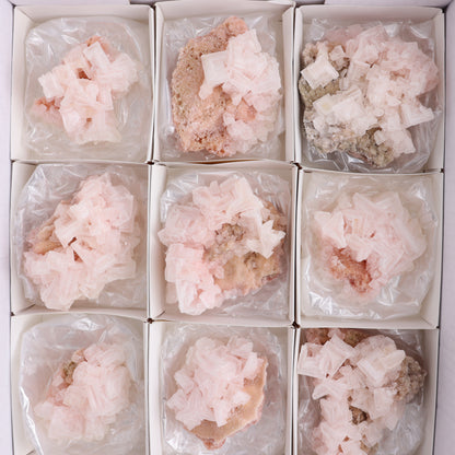 Searles Lake Halite Flat of 12 - Expert Wholesale and Supplier of Wholesale Crystals & Bulk Gemstones, ["close_30","Halite","Pink Halite","United States"]