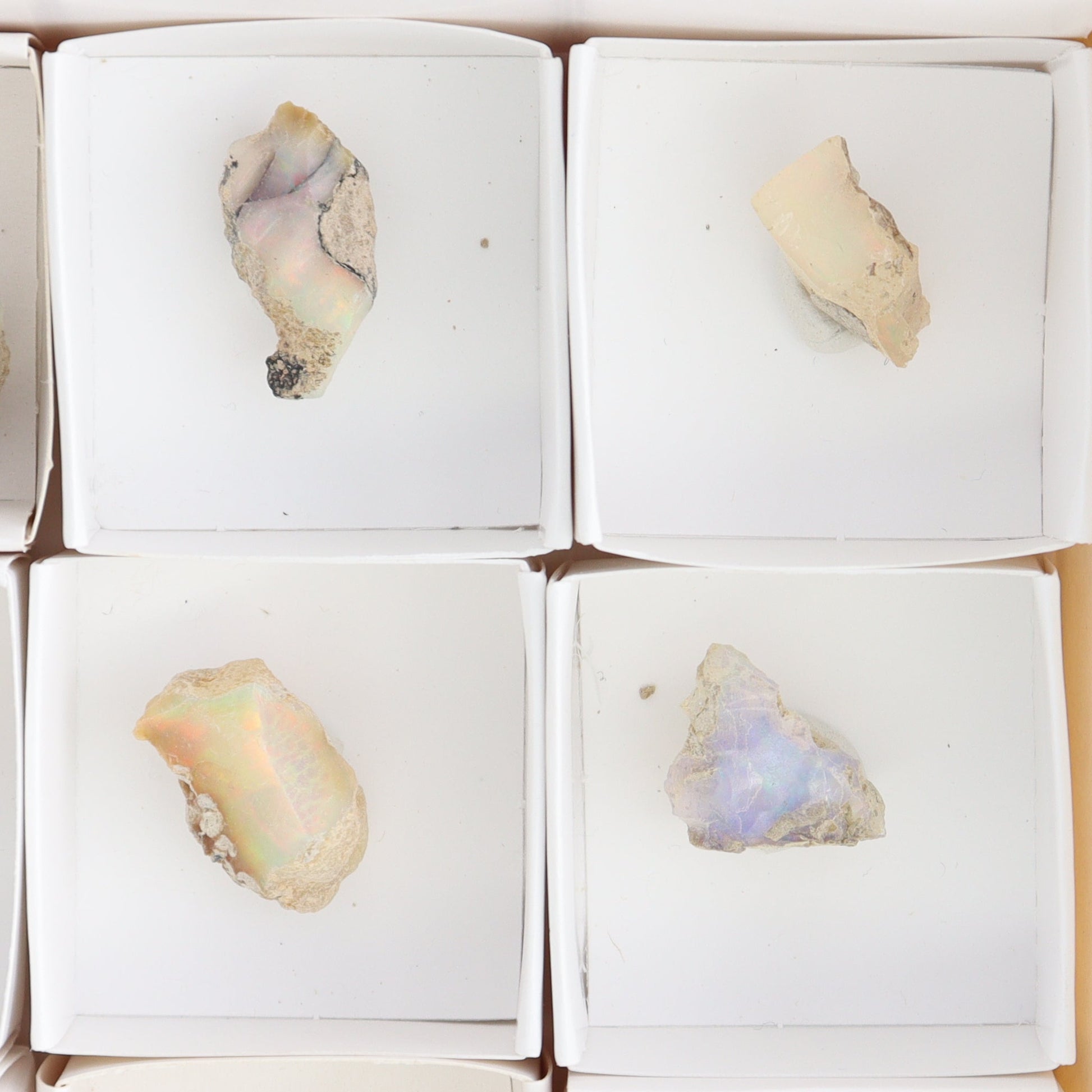 Ethiopian Opal Set of 10 - Expert Wholesale and Supplier of Wholesale Crystals & Bulk Gemstones, ["Ethiopia","ethiopian opal","Opal"]