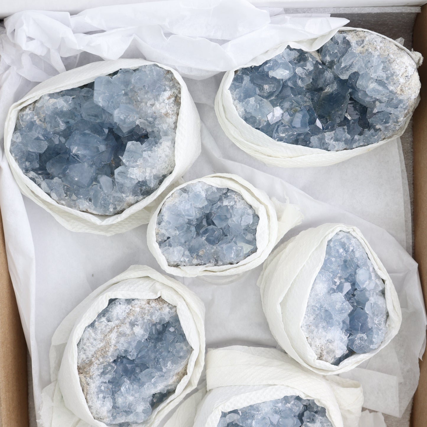 Celestite Clusters Set of 6