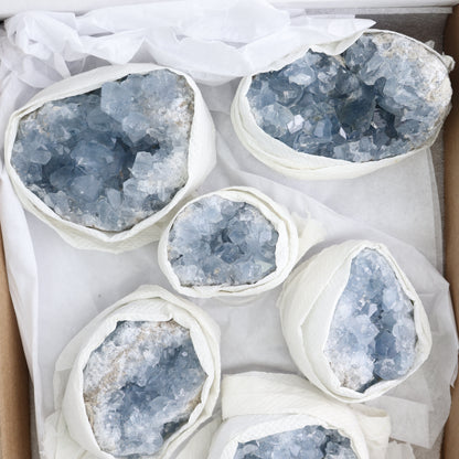Celestite Clusters Set of 6