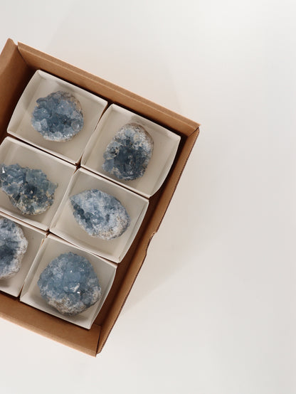 Celestite Clusters Set of 6 - Expert Wholesale and Supplier of Wholesale Crystals & Bulk Gemstones, []