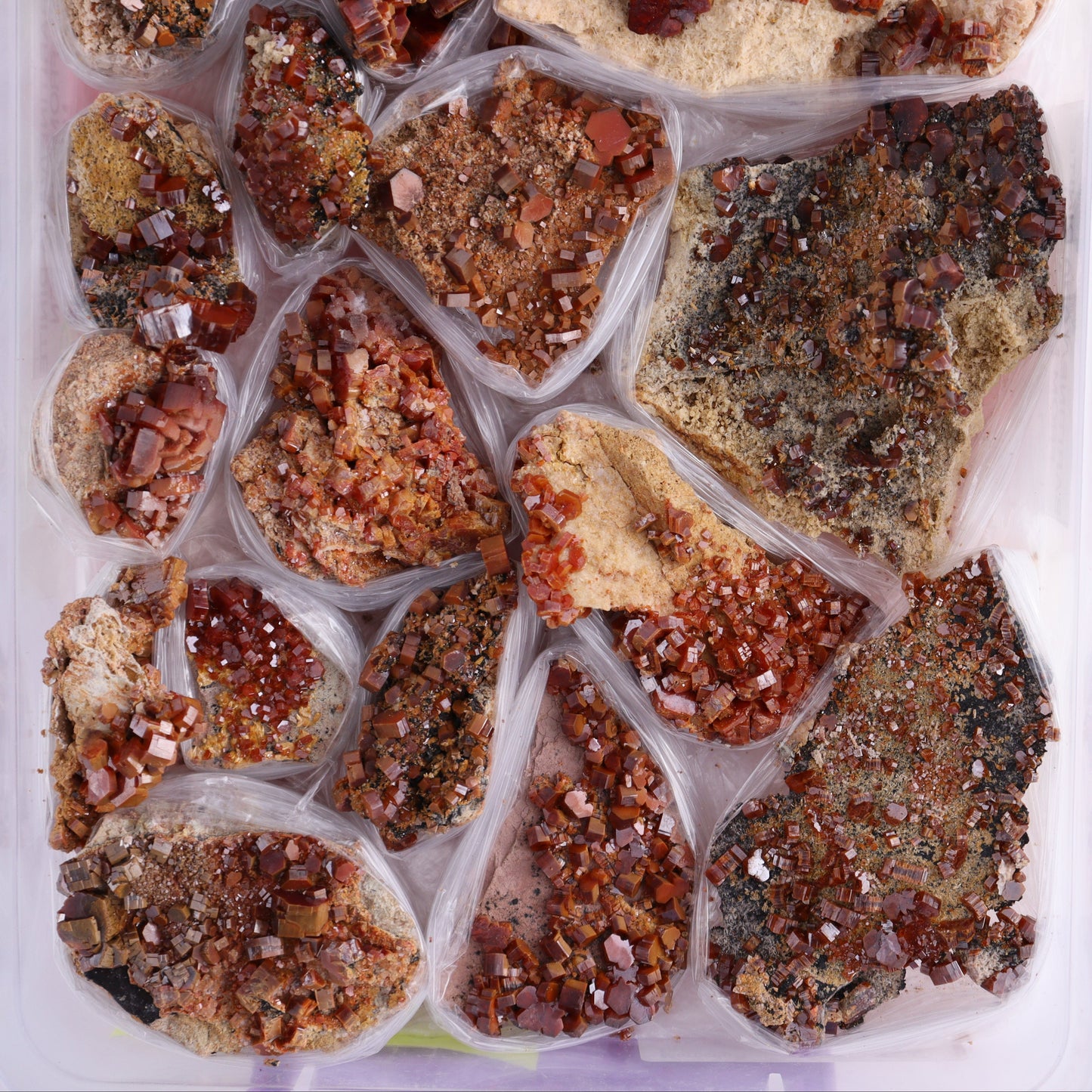 Vanadinite on Barite Flat from Morocco - Expert Wholesale and Supplier of Wholesale Crystals & Bulk Gemstones, ["Barite","Flats","Morocco","Vanadinite","Vanadinite Barite"]