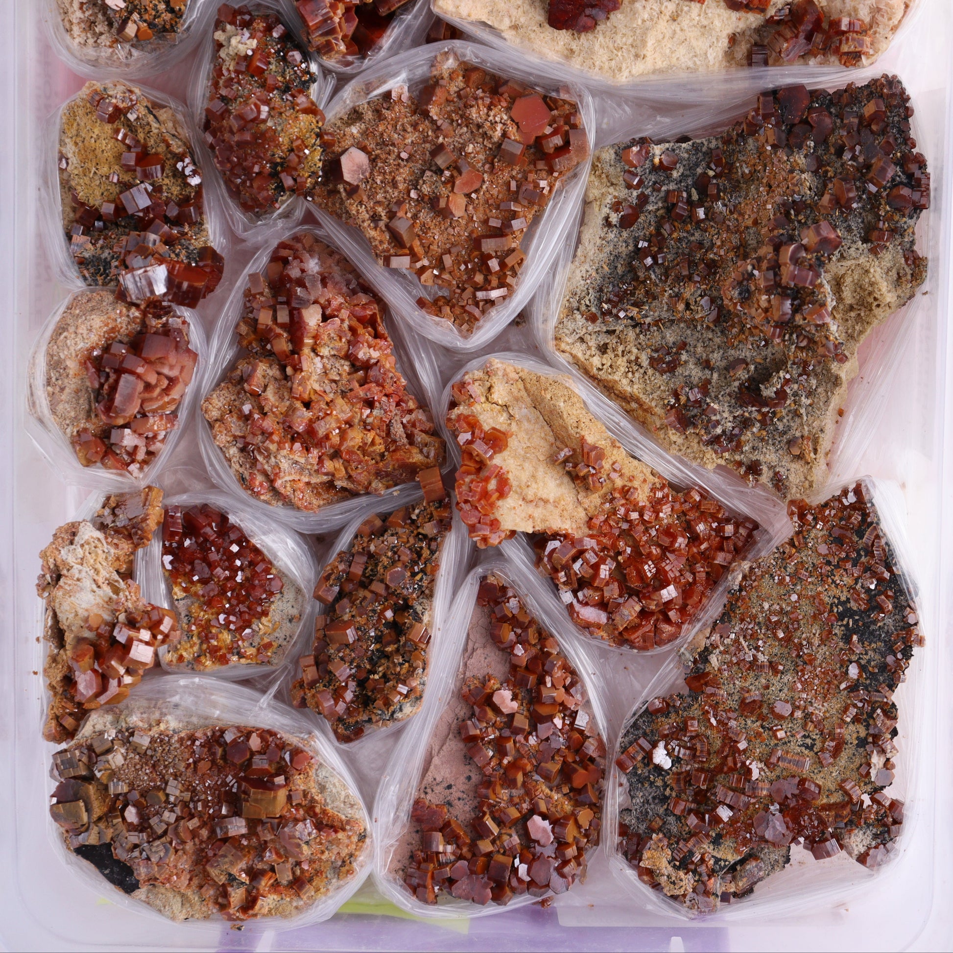 Vanadinite on Barite Flat from Morocco - Expert Wholesale and Supplier of Wholesale Crystals & Bulk Gemstones, ["Barite","Flats","Morocco","Vanadinite","Vanadinite Barite"]