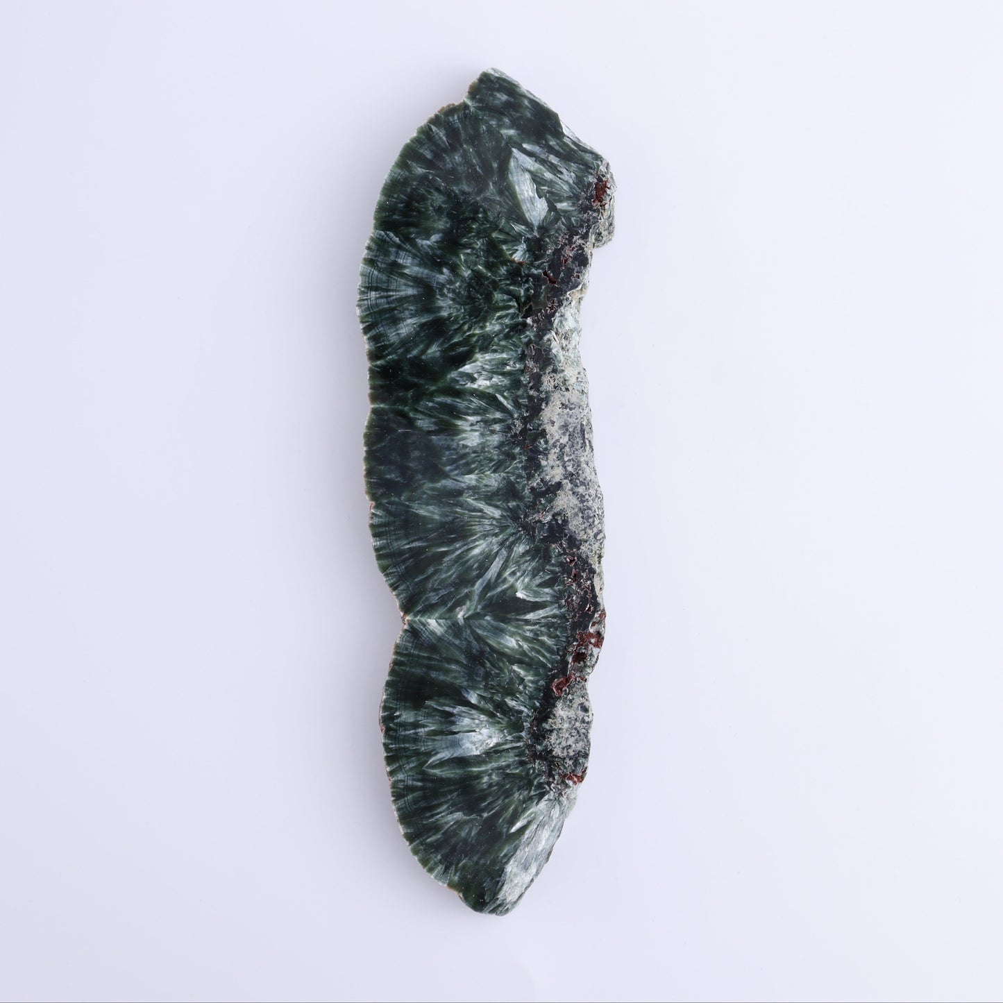 Seraphinite Slices Set of 3 - Expert Wholesale and Supplier of Wholesale Crystals & Bulk Gemstones, ["Russia","Seraphinite","Slices and Slabs"]