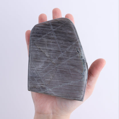 Labradorite Freeform Set of 4