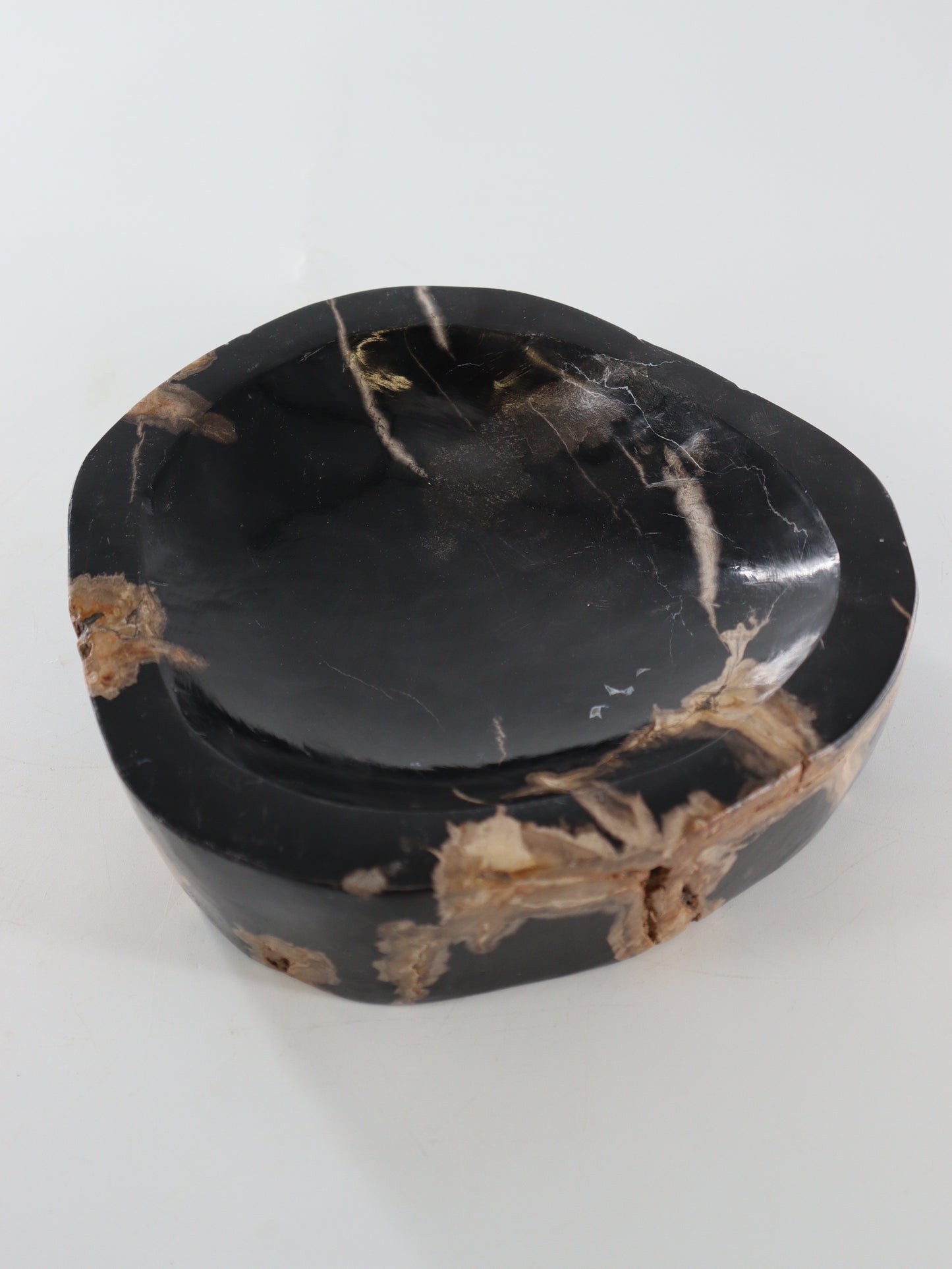 Petrified Wood Bowl