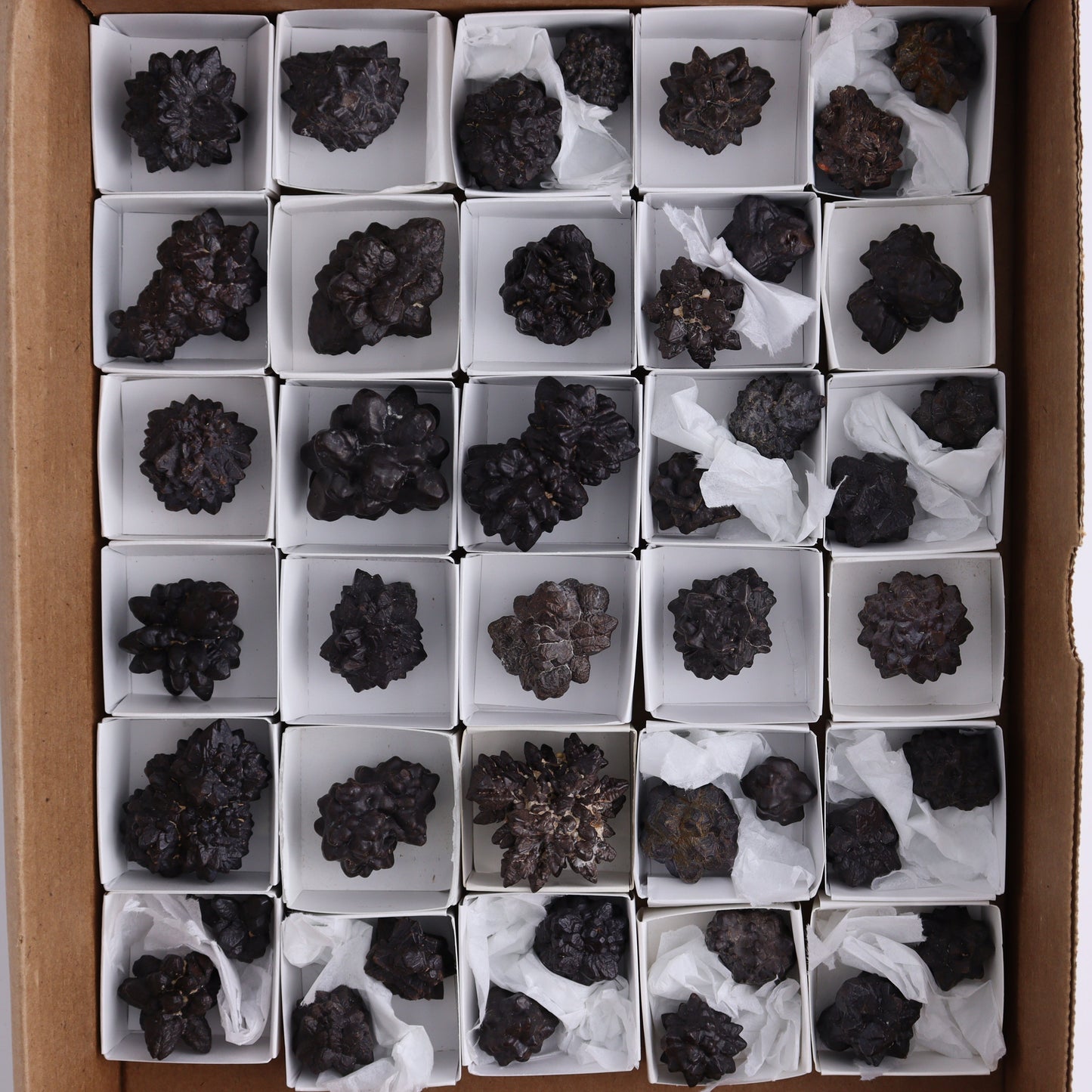 Egyptian Prophecy Stones Flat of 42 - Expert Wholesale and Supplier of Wholesale Crystals & Bulk Gemstones, ["Egypt","Freeforms","Prophecy Stone"]