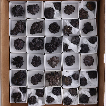 Egyptian Prophecy Stones Flat of 42 - Expert Wholesale and Supplier of Wholesale Crystals & Bulk Gemstones, ["Egypt","Freeforms","Prophecy Stone"]
