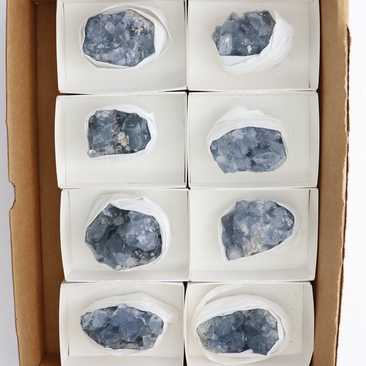 Celestite Clusters Set of 8