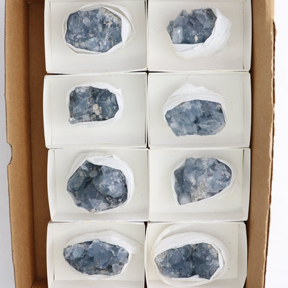 Celestite Clusters Set of 8