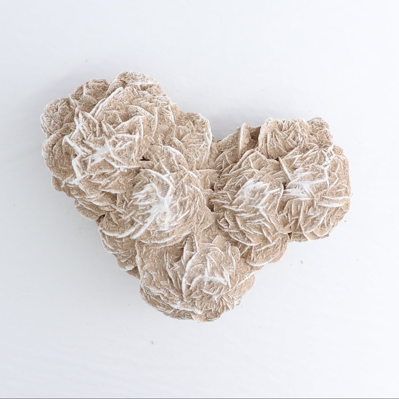 Desert Rose Set of 2