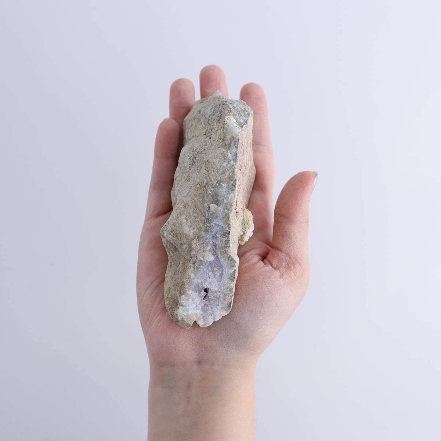 Blue Lace Agate Freeforms Set of 12