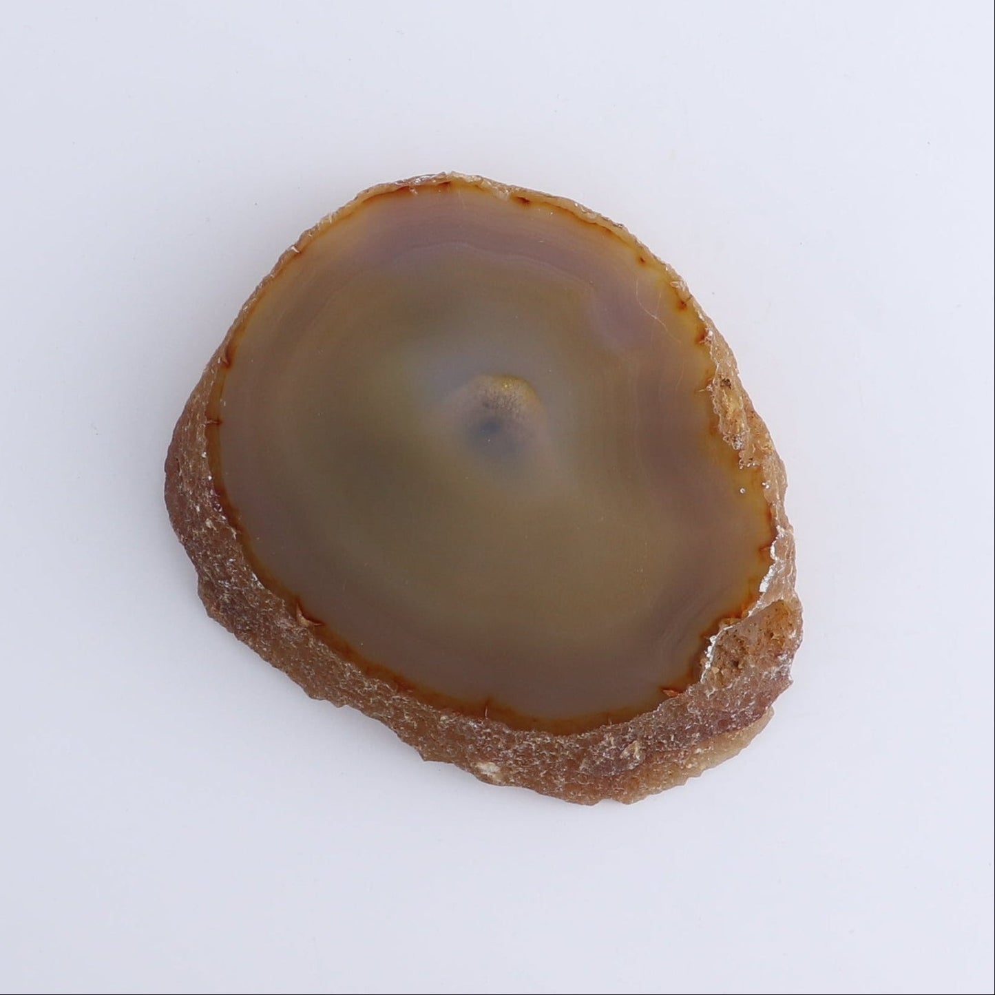 Agate Slices Set of 8 - Expert Wholesale and Supplier of Wholesale Crystals & Bulk Gemstones, ["Agate","Brazil","Slices and Slabs"]