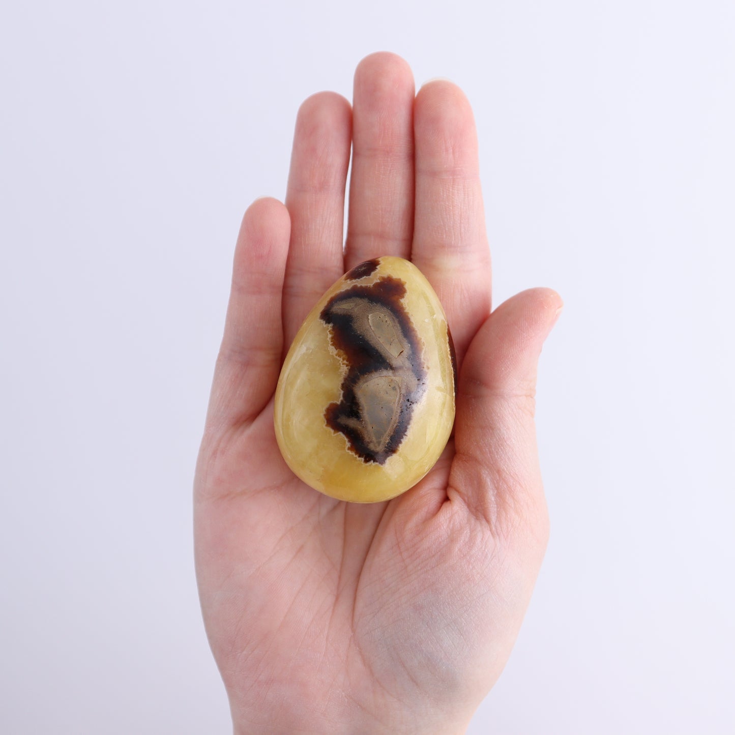 Septarian Eggs Set of 6 - Expert Wholesale and Supplier of Wholesale Crystals & Bulk Gemstones, ["Eggs","Madagascar","Septarian"]