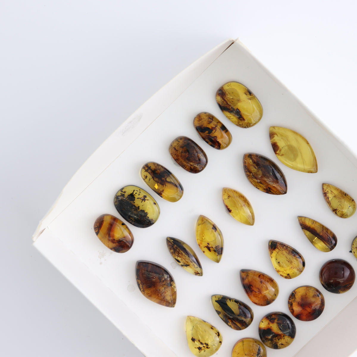 Chiapas Mexico Amber Cabs Set of 23