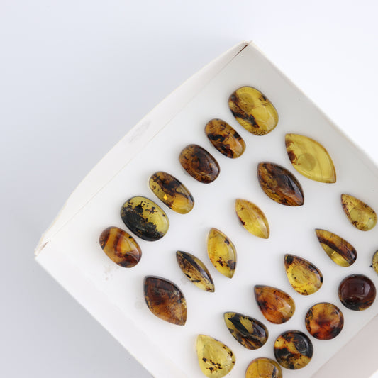 Chiapas Mexico Amber Cabs Set of 23