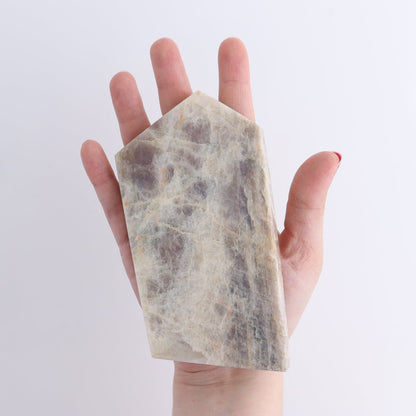 Moonstone Slices & Slabs Set of 6