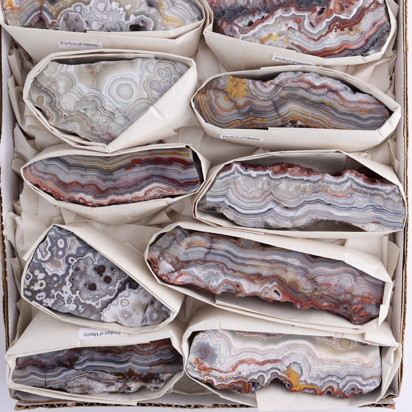 Crazy Lace Agate Flat of 12 - Expert Wholesale and Supplier of Wholesale Crystals & Bulk Gemstones, ["Crazy Lace Agate","Mexico"]