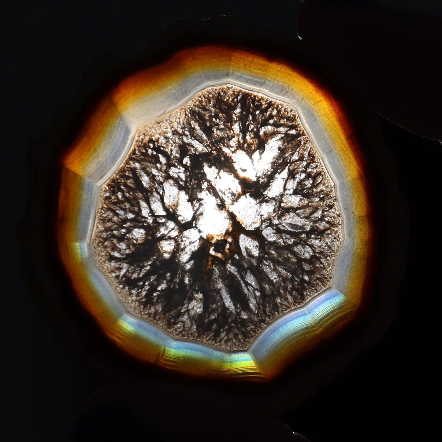 Iris Agate Slices Set of 6 - Expert Wholesale and Supplier of Wholesale Crystals & Bulk Gemstones, ["Agate","Iris Agate","Slices and Slabs"]