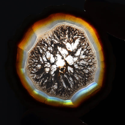 Iris Agate Slices Set of 6 - Expert Wholesale and Supplier of Wholesale Crystals & Bulk Gemstones, ["Agate","Iris Agate","Slices and Slabs"]