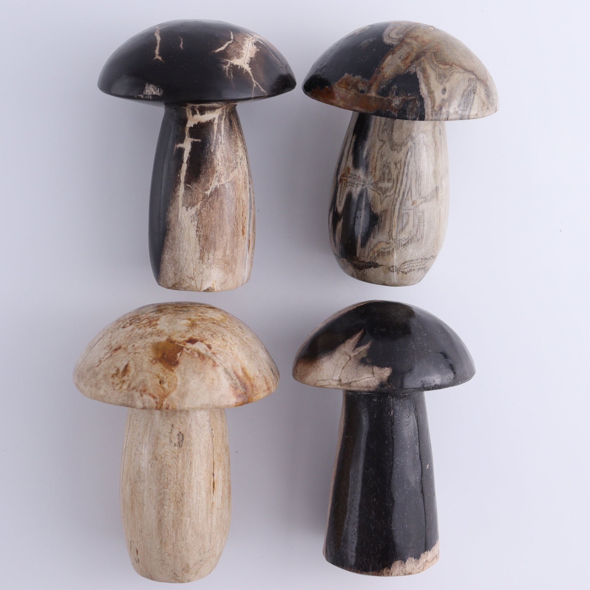 Petrified Wood Mushrooms Set of 4 - Expert Wholesale and Supplier of Wholesale Crystals & Bulk Gemstones, ["Indonesia","Mushrooms","Petrified Wood"]