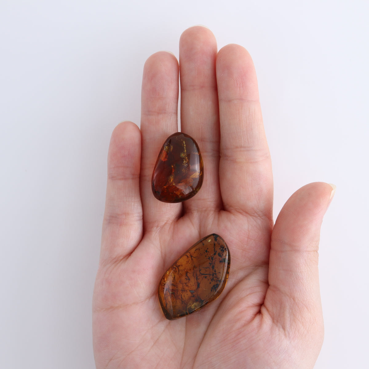 Chiapas Mexico Amber Freeforms Set of 13