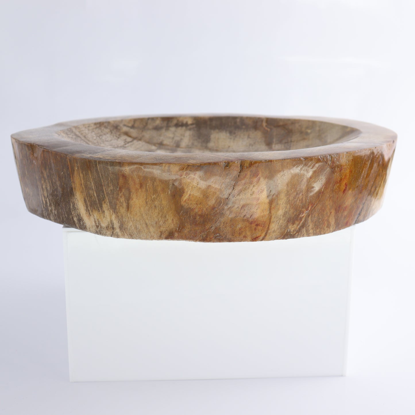 Bowl Petrified Wood - Expert Wholesale and Supplier of Wholesale Crystals & Bulk Gemstones, ["Bowls","Indonesia","Petrified Wood"]