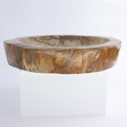 Bowl Petrified Wood - Expert Wholesale and Supplier of Wholesale Crystals & Bulk Gemstones, ["Bowls","Indonesia","Petrified Wood"]