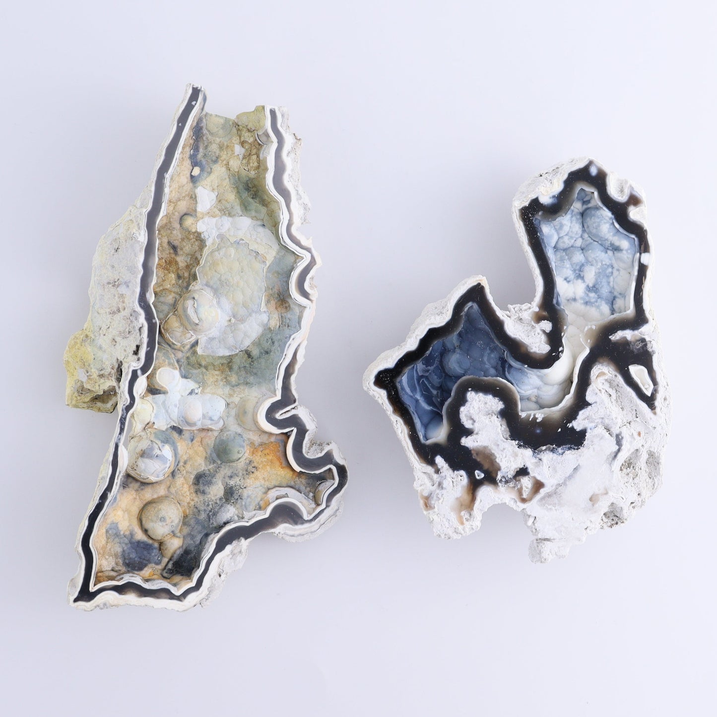 Agatized Coral Flat - Expert Wholesale and Supplier of Wholesale Crystals & Bulk Gemstones, ["Agate","Agatized Coral","Coral","United States"]