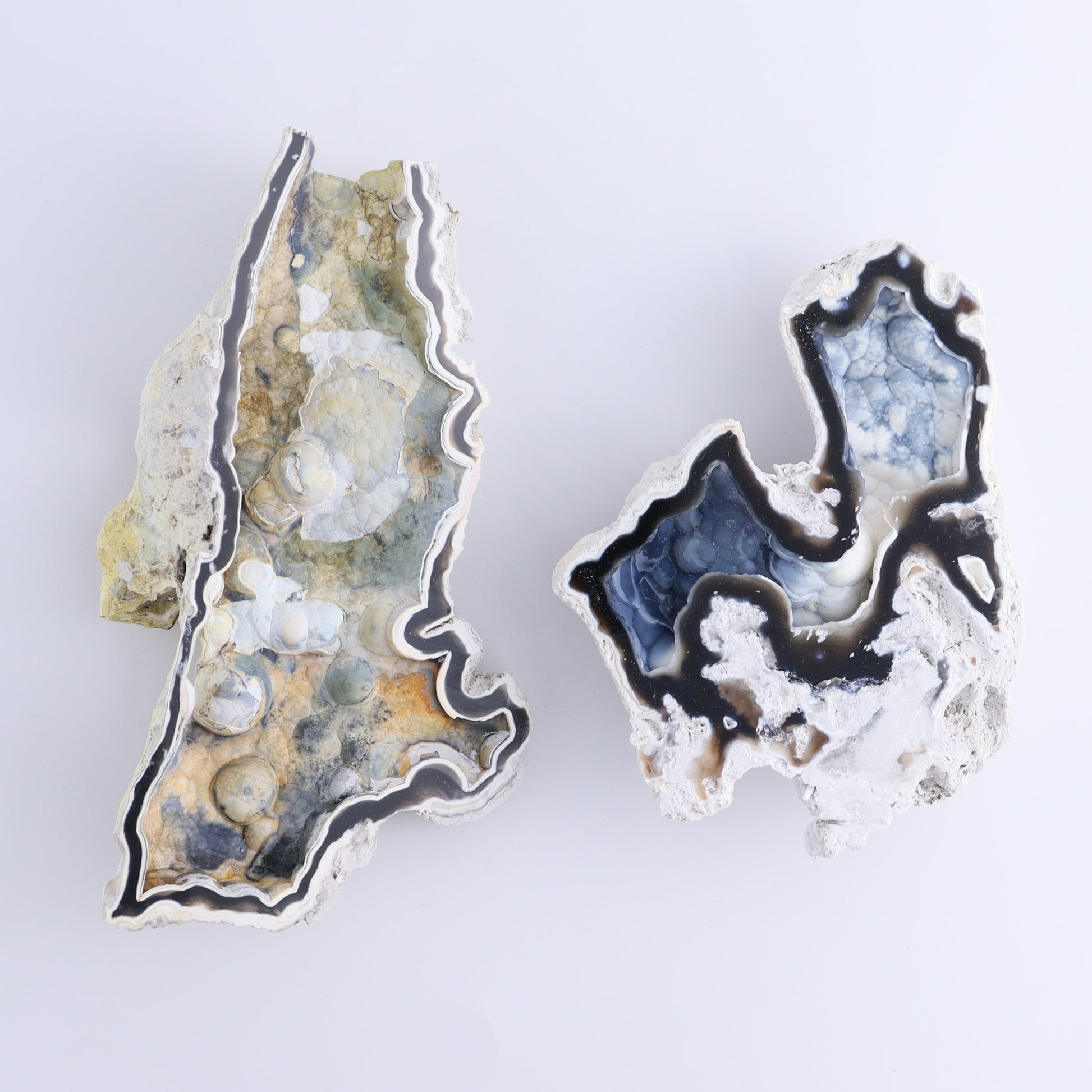 Agatized Coral Flat - Expert Wholesale and Supplier of Wholesale Crystals & Bulk Gemstones, ["Agate","Agatized Coral","Coral","United States"]
