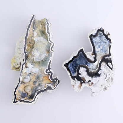 Agatized Coral Flat - Expert Wholesale and Supplier of Wholesale Crystals & Bulk Gemstones, ["Agate","Agatized Coral","Coral","United States"]