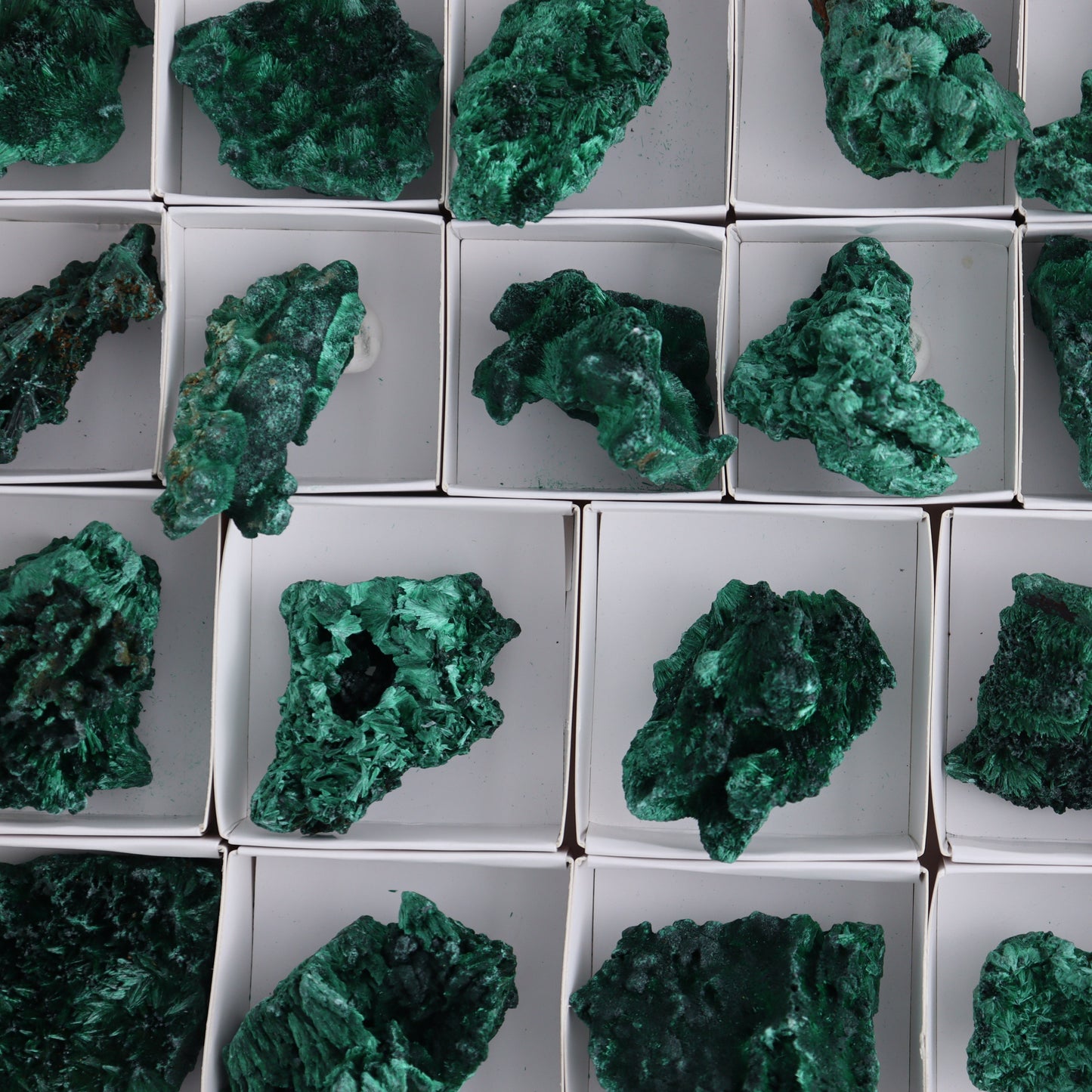 Malachite Flat of 30 - Expert Wholesale and Supplier of Wholesale Crystals & Bulk Gemstones, ["Congo","Flats","Malachite"]