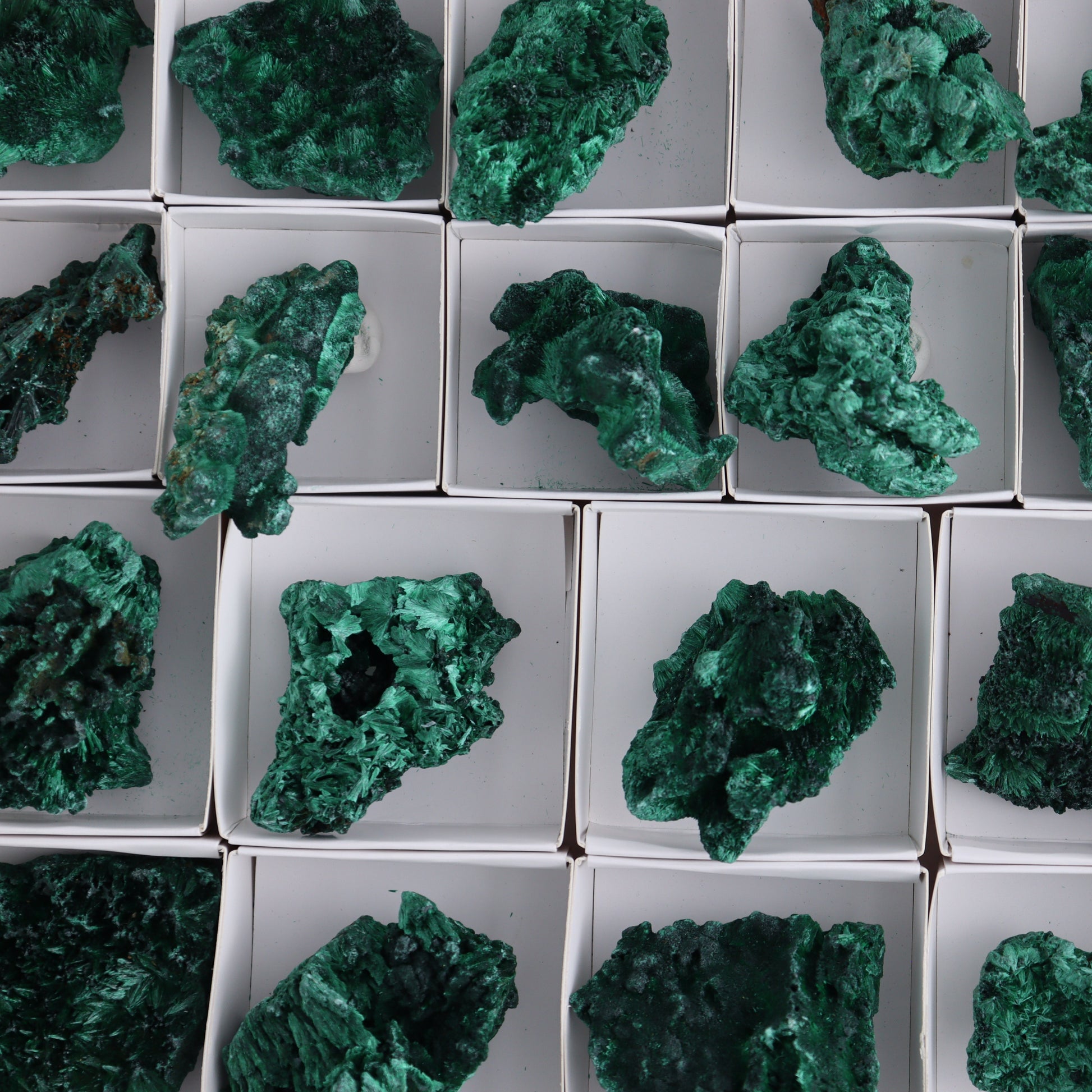 Malachite Flat of 30 - Expert Wholesale and Supplier of Wholesale Crystals & Bulk Gemstones, ["Congo","Flats","Malachite"]