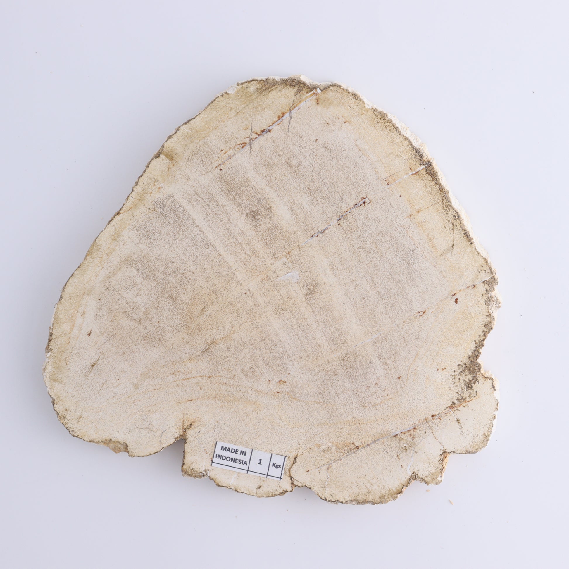 Petrified Wood Slices & Slabs Set of 3 - Expert Wholesale and Supplier of Wholesale Crystals & Bulk Gemstones, ["Freeforms","Indonesia","Petrified Wood","Slices and Slabs"]