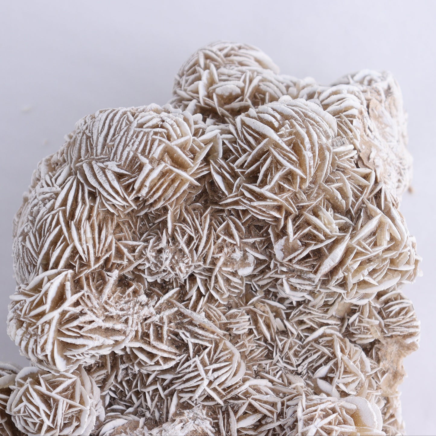 Desert Rose Cluster - Expert Wholesale and Supplier of Wholesale Crystals & Bulk Gemstones, ["Desert Rose","Freeforms"]