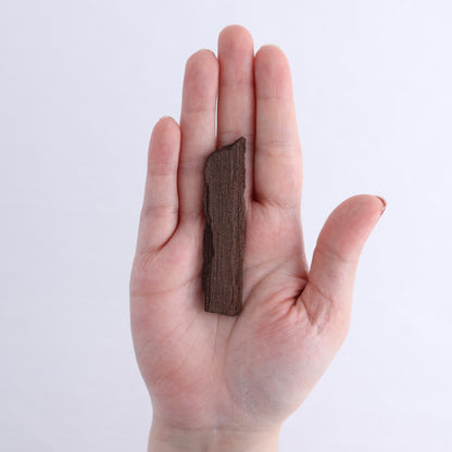 Permineralized Wood Flat of 6