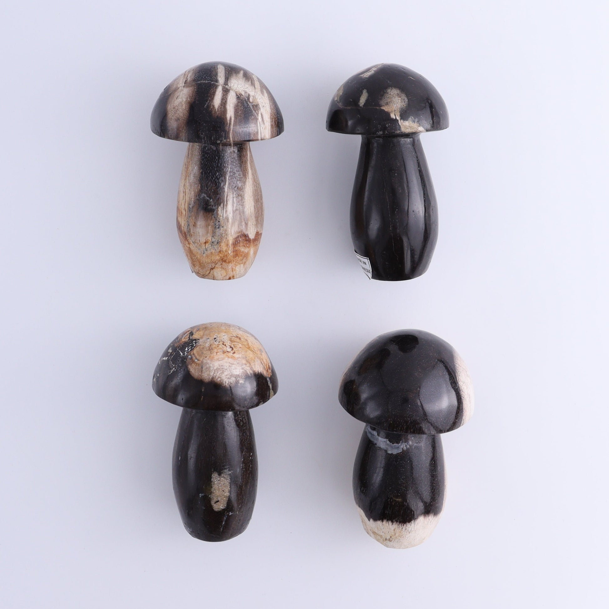 Petrified Wood Mushrooms Set of 4 - Expert Wholesale and Supplier of Wholesale Crystals & Bulk Gemstones, ["Indonesia","Mushrooms","Petrified Wood"]
