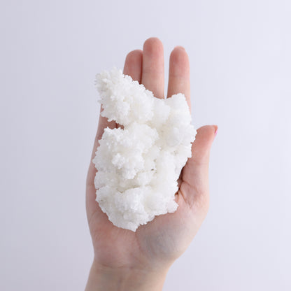 Aragonite Clusters Set of 12 - Expert Wholesale and Supplier of Wholesale Crystals & Bulk Gemstones, ["aragonite","Clusters","Freeforms","Mexico"]