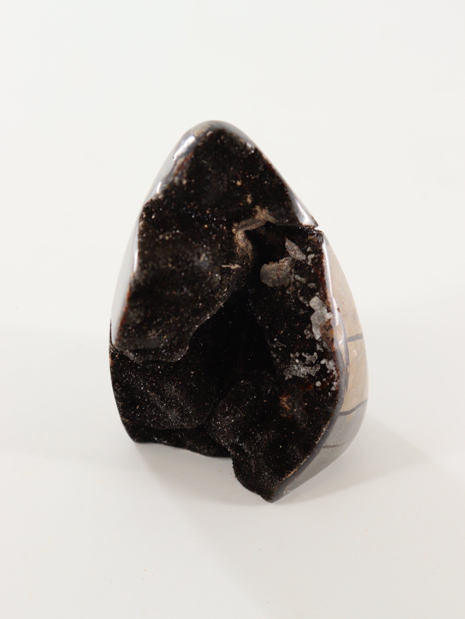 Septarian Cut Bases Set of 4 - Expert Wholesale and Supplier of Wholesale Crystals & Bulk Gemstones, []