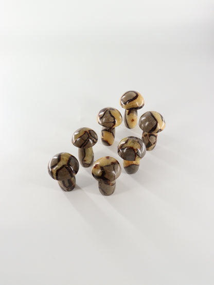 Septarian Mushrooms Set of 7 - Expert Wholesale and Supplier of Wholesale Crystals & Bulk Gemstones, []