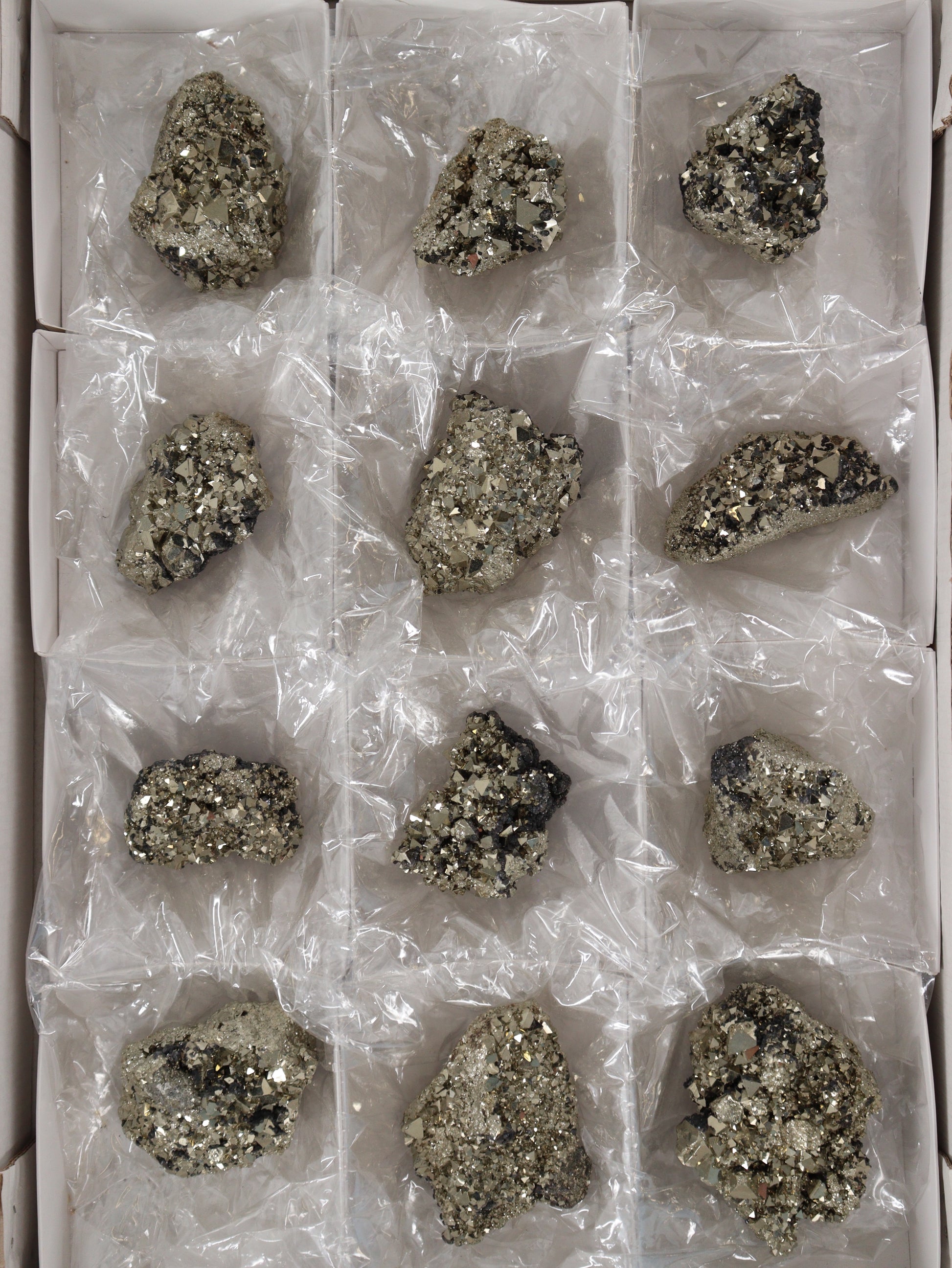 Pyrite Flat - Expert Supplier of Wholesale Crystals & Bulk Gemstones