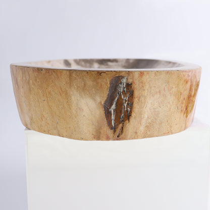 Petrified Wood Bowl - Expert Wholesale and Supplier of Wholesale Crystals & Bulk Gemstones, ["Bowls","Indonesia","Petrified Wood"]